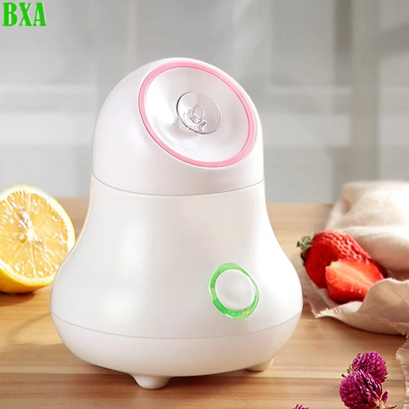Fruit and Vegetable Facial Ste - Facial Steamer Nano recension och pris